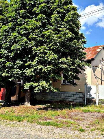 Довгострокова оренда будинку