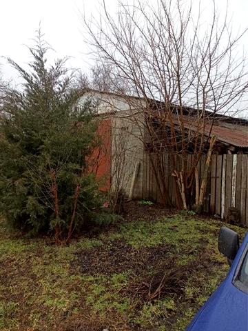 Оренда будинку в селищі Шевченково