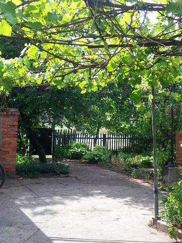 Дім. с. Лозуватка.