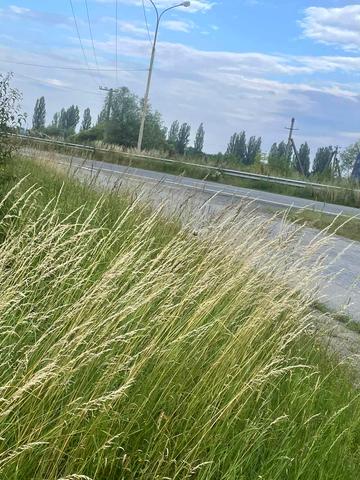 Европейська