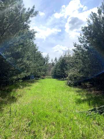 Ясногородка, Фастівський, Київська область 15000 USD