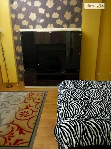 Довгострокова оренда 1к Квартира Плугова вулиця