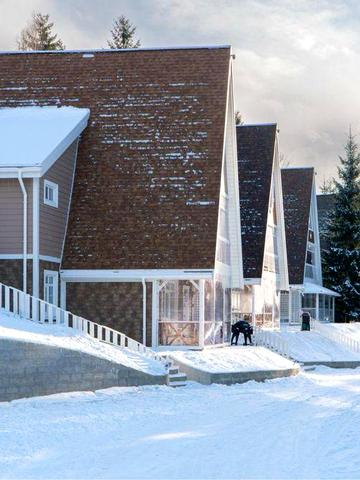 НОВИЙ котеджний комплекс Буковель Поляниця 4 будинки у горах