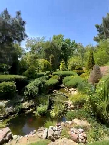 совсновый берег! красивый дом с роскошной территорией!