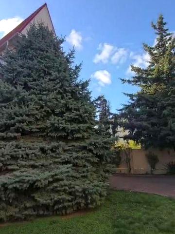 Сдам дом Дмитрия донского/Чубаевка 450 м ,подвал,цена с коммунальными!