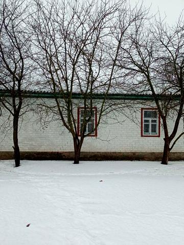 Будинок в 10км від Чернігова. Зем. ділянка 40сот.