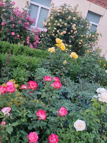 Продається будинок м.Новомигород