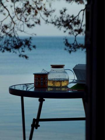 Будиночок на самому березі київського моря