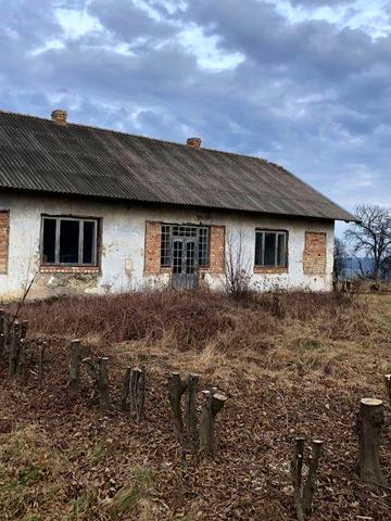 Хата у с.Ліски