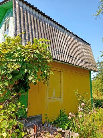 Дача в Заячих соснах.