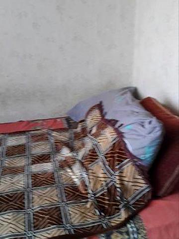 Сдаю  1 к/к ул.Озерная/район  Намыв