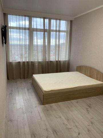 37 жемчужина кадор, можно с питомцем