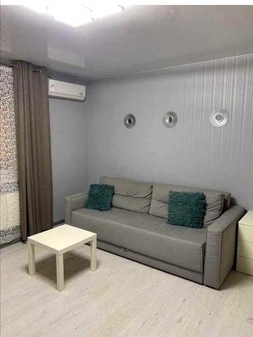 Оренда однокімнатної квартири , вулиця Миколи Різоля 7