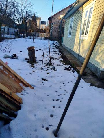 Продам будинок в центрі селища