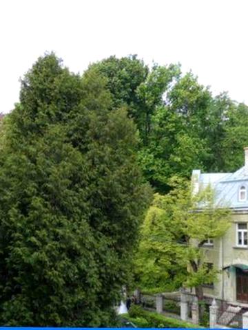 Продам квартиру з ремонтом біля Стрийського парку вул. Паркова