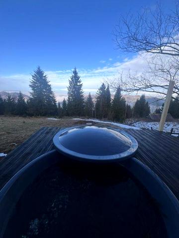 Оренда затишного будинку в Карпатах