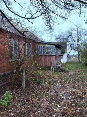 Продам будинок, с. Дівочки, Житомирська обл.