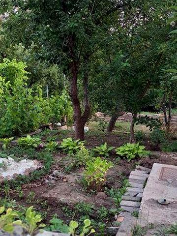 Дача у леса и реки — отдых для всей семьи