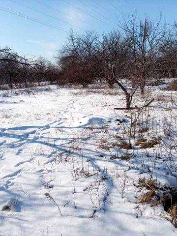 Сдам дачу в городской черте Левобережный 3