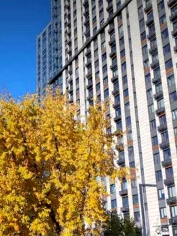 Академіка Заболотного вул., 1-Б