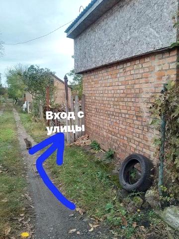 Продам дачу Песецьких, перша лінія. Право власності є.