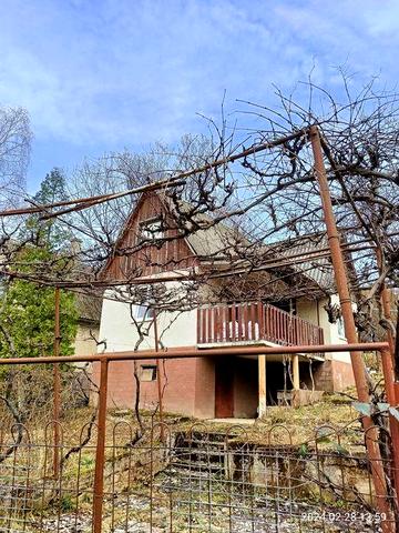 Дача біля Невицького замку