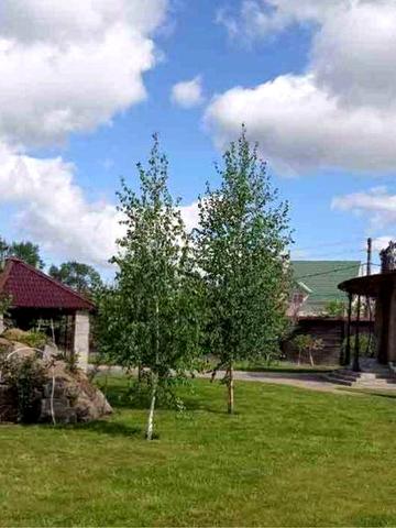 Сдам дом Осокорки Славутич