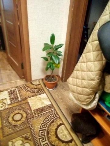 Здам кімнату в оренду для жінки або дівчини