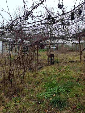 Недорого дачний будинок