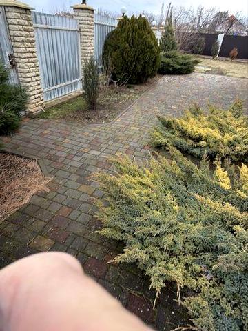 Сдается 2-этажеый дом