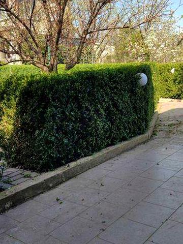 Дача на Хаджибейском лимане, с. Богнатово