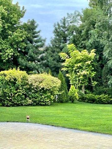 Самоцвітна вул. (Сахалінська)