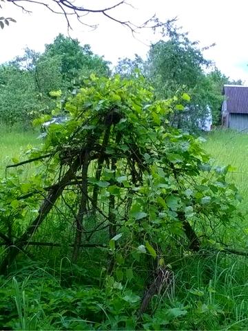 Дача біля 4 шахти