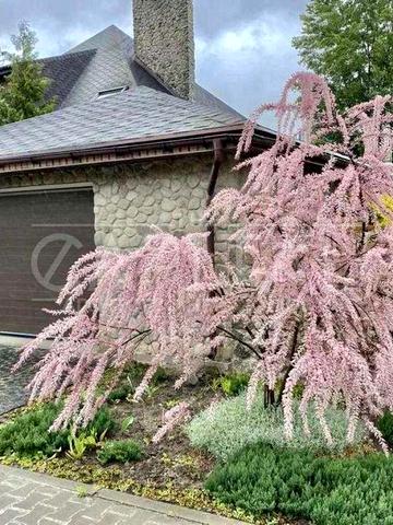 АВТОНОМНИЙ будинок 300м2/12 соток, у КМ «Стоянка-2», Ірпінь.