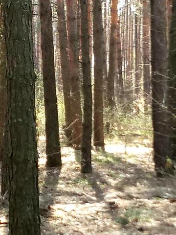 Мала Солтанівка, Фастівський, Київська область 37500 USD