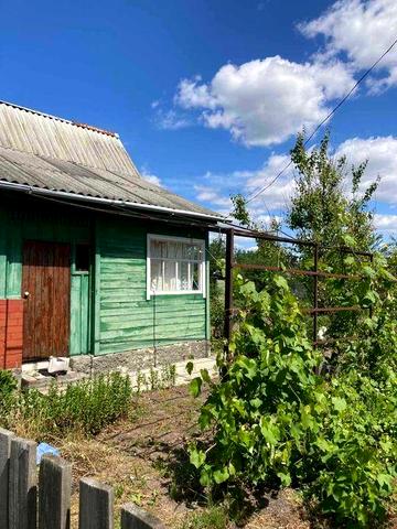 Продам дачу в садовому товаристві "Капрон" поблизу села Киїнка