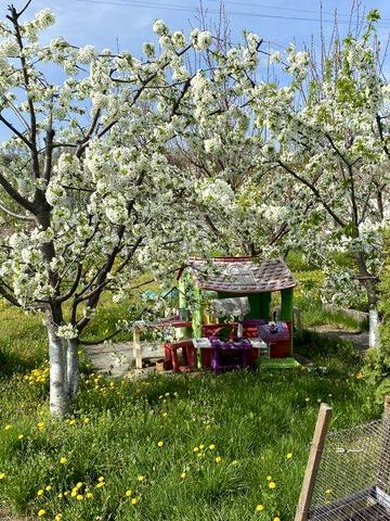 Сдам дом в аренду