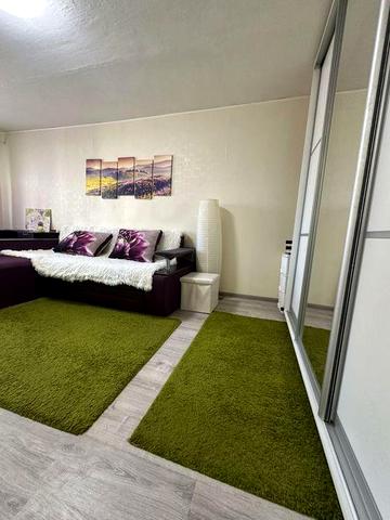 Оренда 1-кімн.квартири ,вул. Шолом Алейхема,11 а .м. Лісова