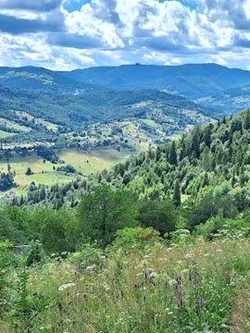 Земельна ділянка з будинком.  Ціна вказана за сотих