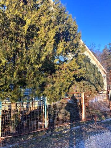 Свой берег! Аренда Дом Дача, Песчанка, Самар 5км,