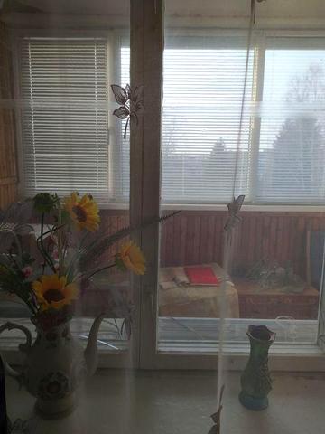 2 х кімнатна квартира біля Черкас