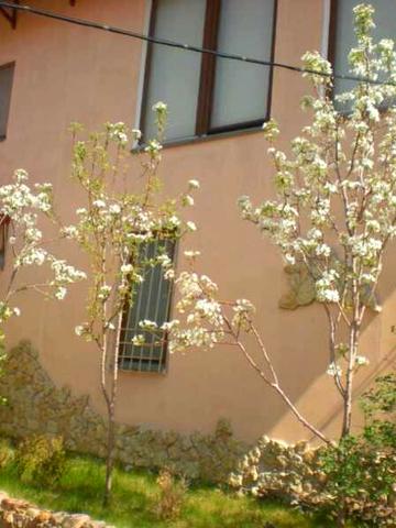 Каролино Бугаз