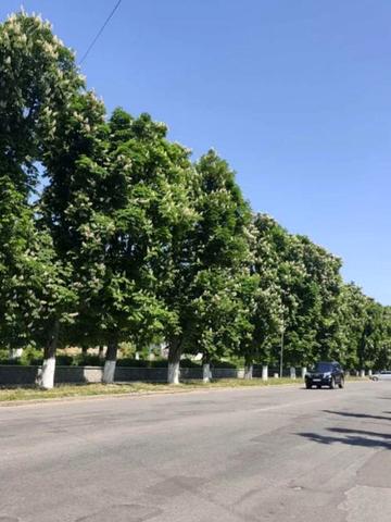 Столярчука вул., 48