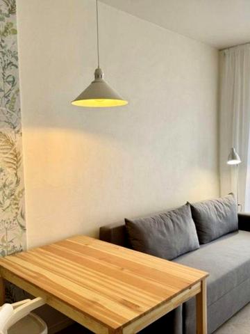 Оренда 1кім квартири по вул. Львівська Брюховичі