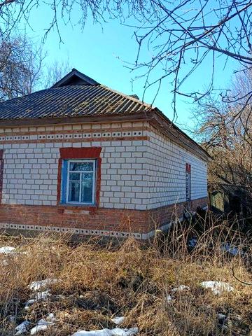 Невеликий будинок с.Ковпита