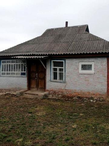 Продам будинок в селі Малі Будища.