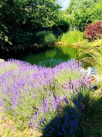 Будинок в якому можна і жити, і працювати, і відпочивати