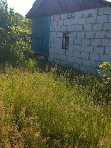 ПРОДАМ ДАЧУ біля села Жуківці ( Трипілля ) сад. товариство Озерне