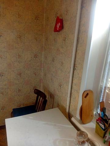 Сдам квартиру аккуратной девушке! С ребёнком! С животным! Недорого!!