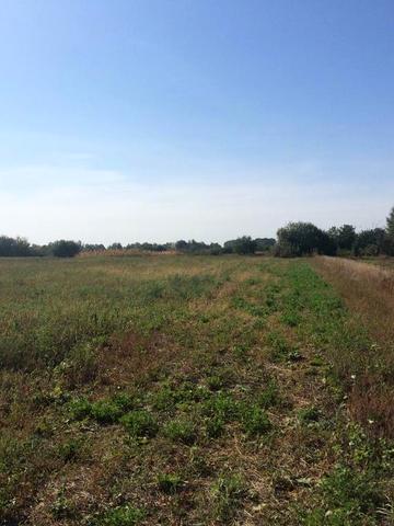 Пшеничне, Білоцерківський, Київська область 180000 UAH